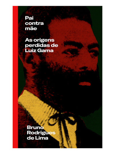 Pai contra mãe: as origens perdidas de Luiz Gama