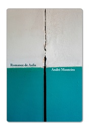 [9788595820470] Romance de asilo (André Monteiro. Editora Circuito) [FIC056000]